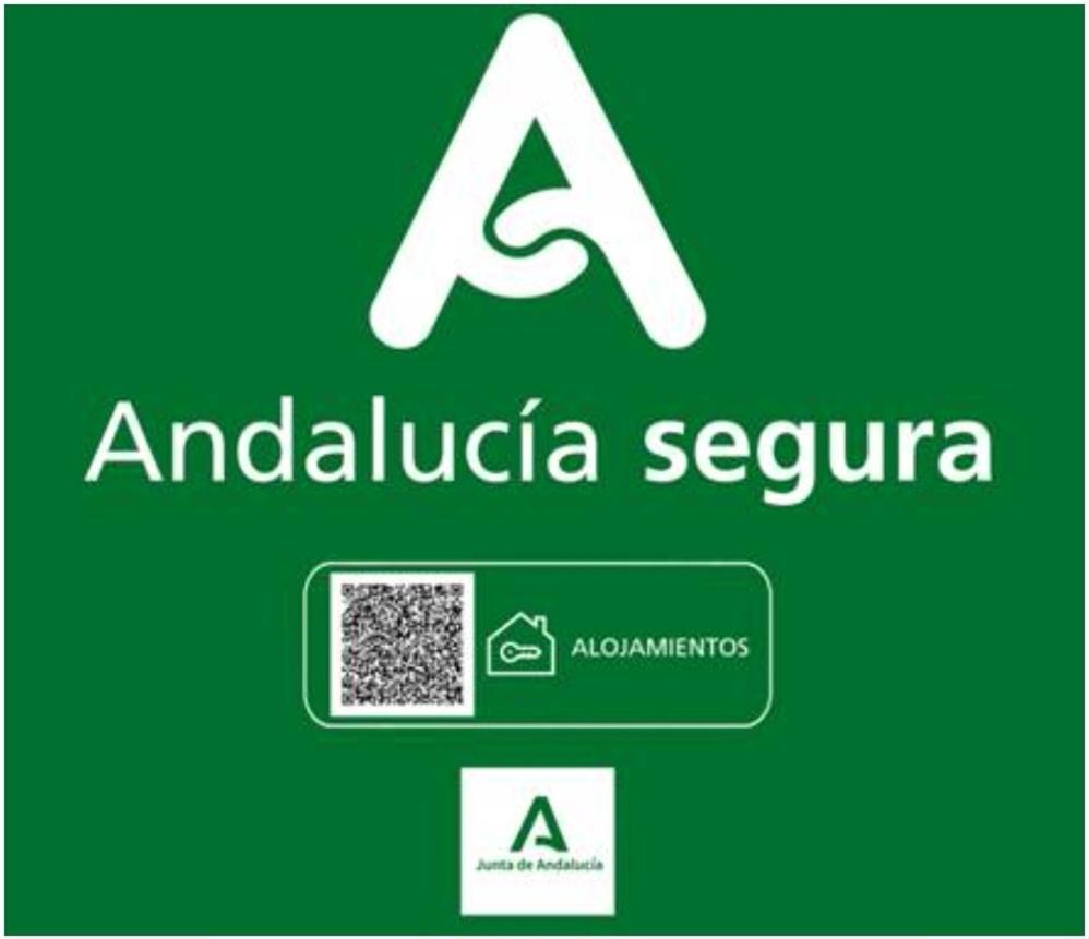 Todosierranevada Zona Baja - Edificio Atlas - Vistas A La Montana - Junto A Los Telecabinas Сьерра-Невада Экстерьер фото